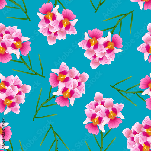 Fototapeta Naklejka Na Ścianę i Meble -  Pink Vanda Miss Joaquim Orchid on Indigo Blue Background