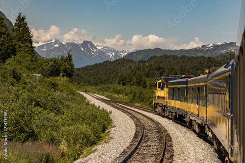A bear crosses the tracks ahead of a train in Alaska, USA in summertime. 