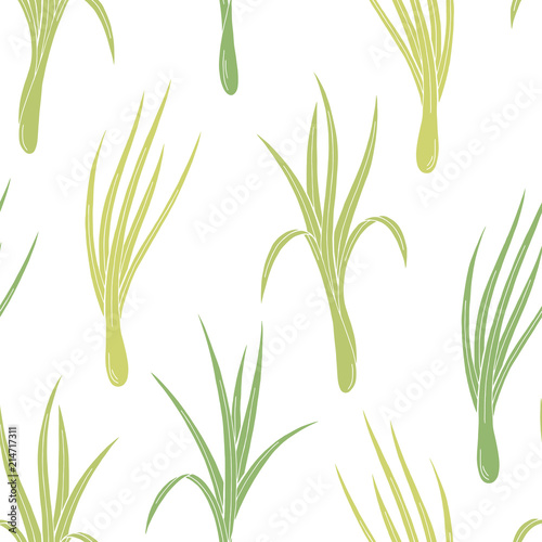 Lemongrass plant graphic color seamless pattern background sketch illustration vector