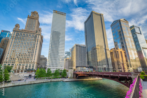 Skyscrapers along the Chicago River, in Chicago, Illinois