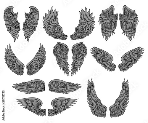 Vector set of different angel or bird wings with gray feathers and black contour. Old-school tattoo design. Elements for sticker, print or poster