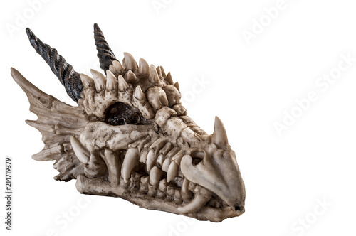 Myths, legends and legendary creatures concept with a dragon skull isolated on white background with copy space and a clipping path cutout