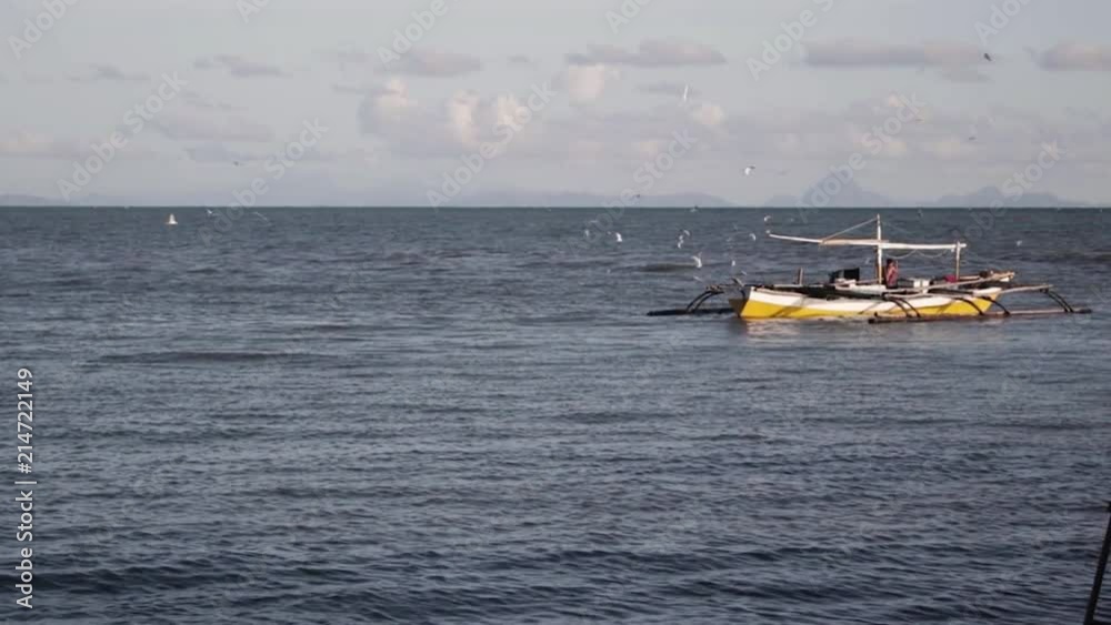 Birds flying around a floating boat in slow motion