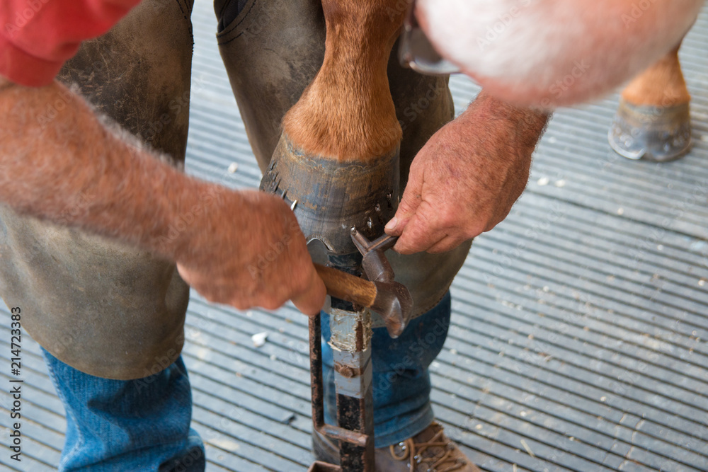 blacksmith at work