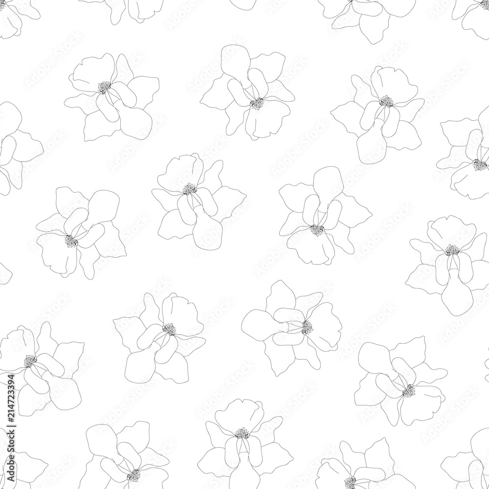 Vanda Miss Joaquim Orchid Outline on White Background