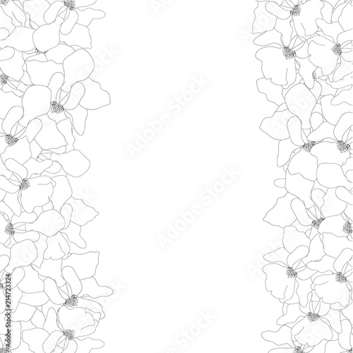 Fototapeta Naklejka Na Ścianę i Meble -  Vanda Miss Joaquim Orchid Outline Border