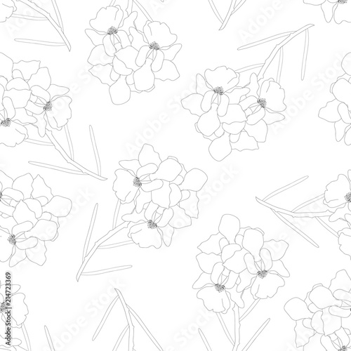 Fototapeta Naklejka Na Ścianę i Meble -  Vanda Miss Joaquim Orchid Flower Outline on White Background