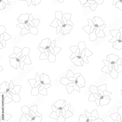Fototapeta Naklejka Na Ścianę i Meble -  Vanda Miss Joaquim Orchid Outline on White Background