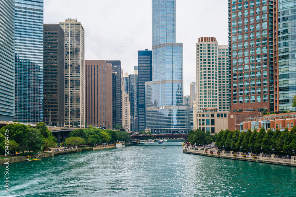 Fototapeta premium The Chicago River, w Chicago, Illinois