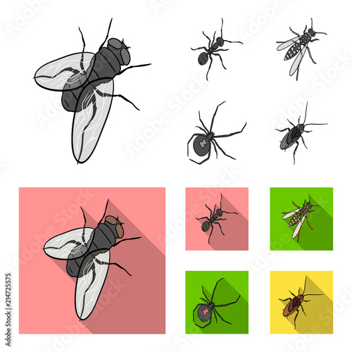 An insect arthropod, an osa, a spider, a cockroach. Insects set collection icons in monochrome,flat style vector symbol stock isometric illustration web.