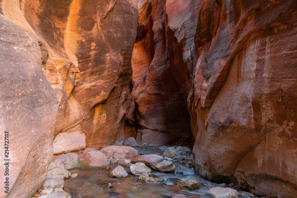 Kanarra creek slot canyon in Zion national park, Utah, USA Kanarra creek slot canyon in Zion national park, Utah, USA