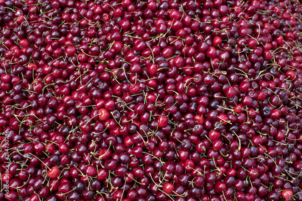 Kirschen Kirschen