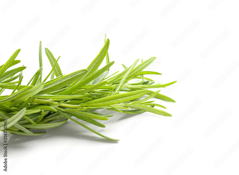 Fresh rosemary on white background Fresh rosemary on white background
