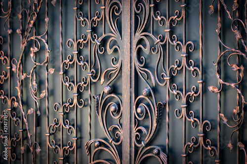 beautiful decorative metal elements forged wrought iron gates photo