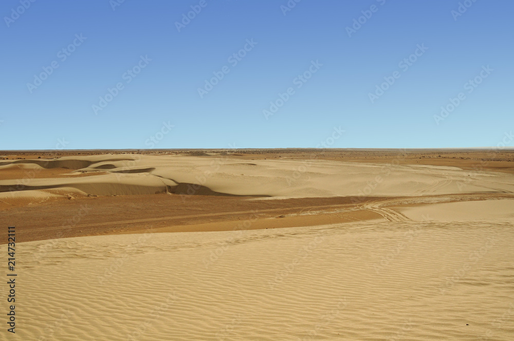 Fototapeta premium sandy dune at Big Sahara desert. Tunisie. Africa