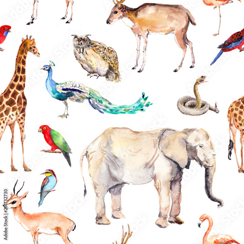 Wild animals and birds - zoo, wildlife - elephant, giraffe, deer, owl, parrot, other . Seamless pattern. Watercolor