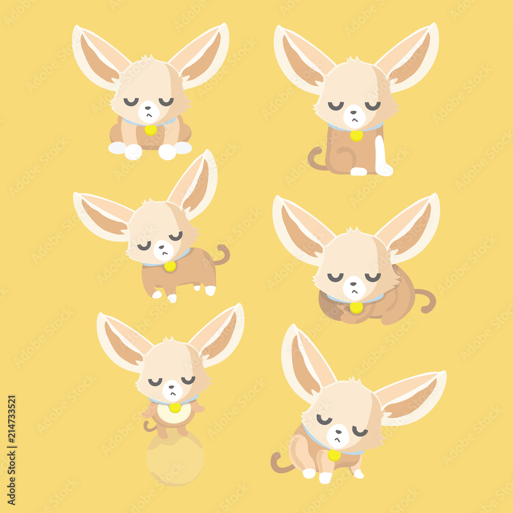 Cute chihuahua set in different poses.

