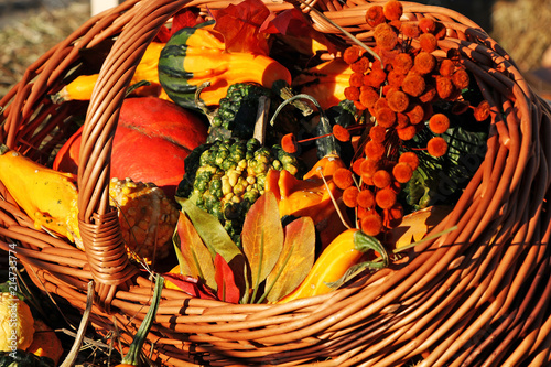 Decorative basket with autumn leaves  mushrooms  flowers  vegetables.