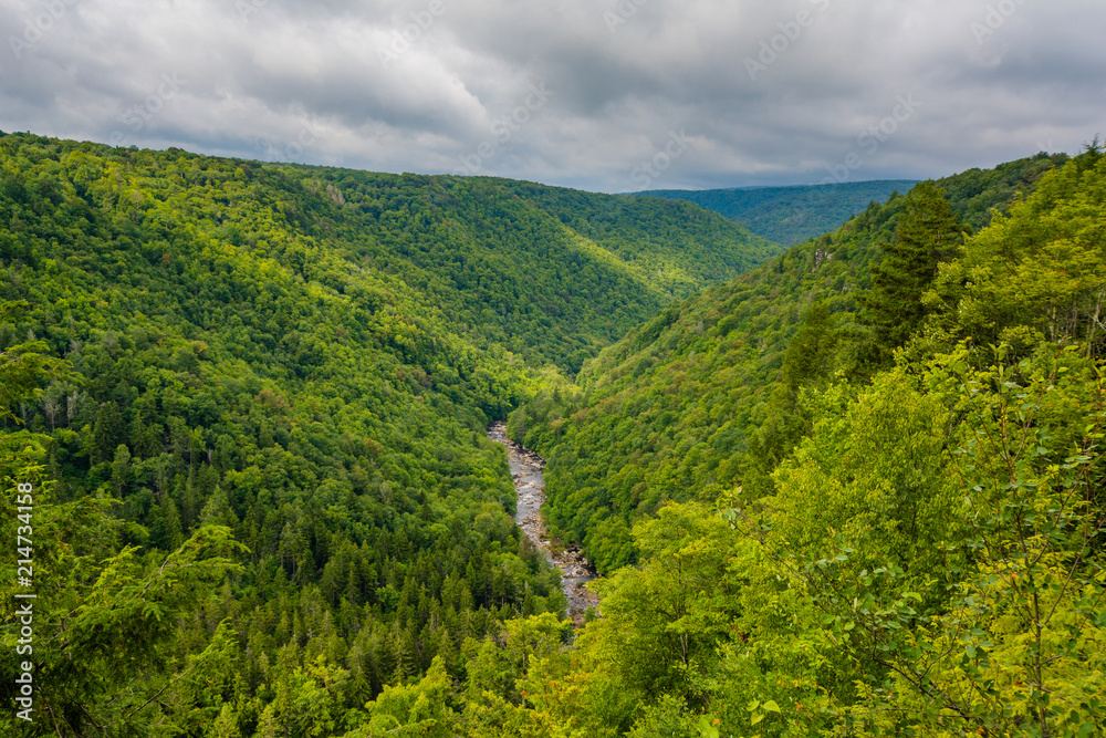 Fototapeta premium View from Pendleton Point, in Blackwater Falls State Park, West Virginia.