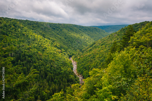 View from Pendleton Point, in Blackwater Falls State Park, West Virginia.
