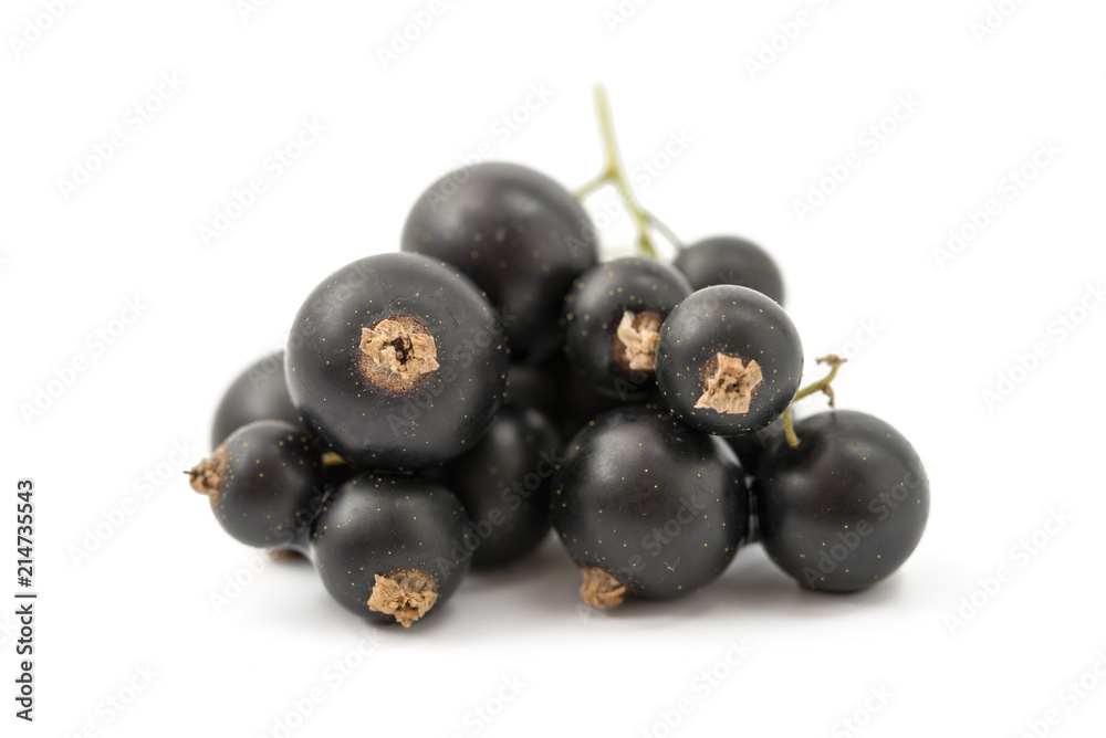 Schwarze Johannisbeeren Schwarze Johannisbeeren