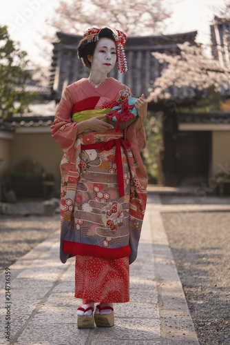 Maiko in a kimono walking on a stone path in front of the gate of a traditional Japanese temple surrounded by cherry blossoms in sunset. photo