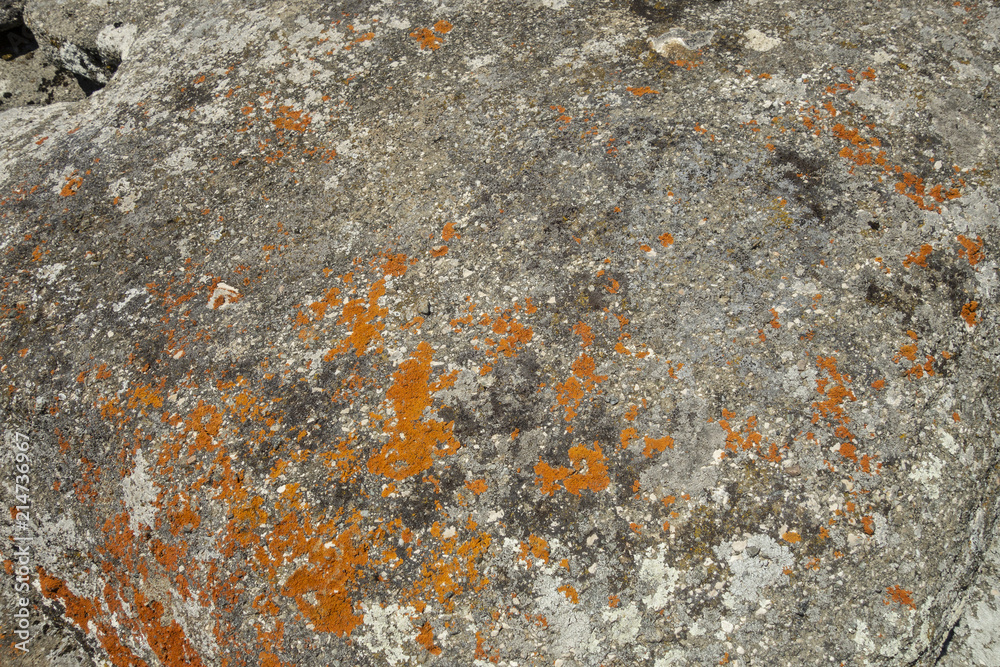 Stone texture - details, background and texture image Stone texture - details, background and texture image