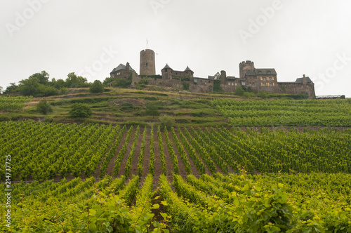 zamek na wzgórzu obok winnicy