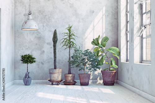 vintage wall with plants set.