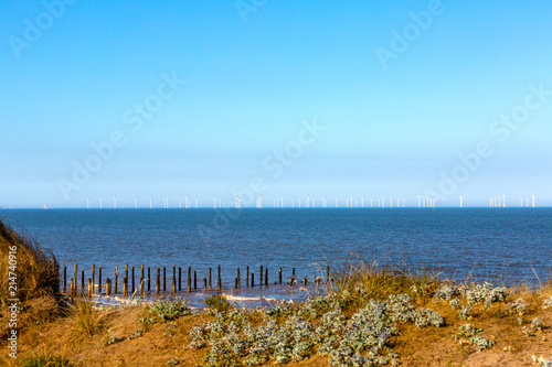 Seascape of an offshore wind turbine field on the horizon against blue sky and sea with old wooden groynes, sea holly, grass beach in the foreground 