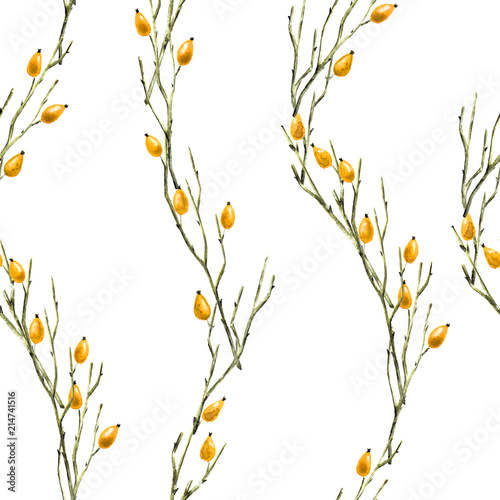 Fototapeta Naklejka Na Ścianę i Meble -  Seamless Botanical Pattern with Briar Branches in Asian Style.
