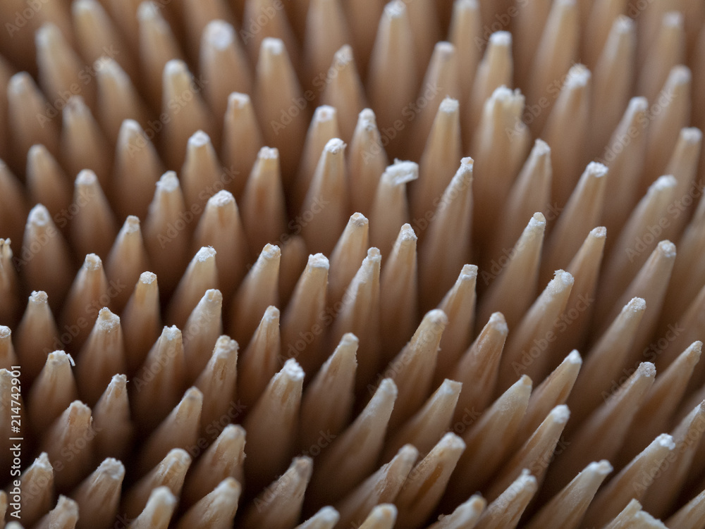 Toothpick Toothpick
