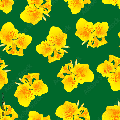 Yellow Canna lily on Green ...