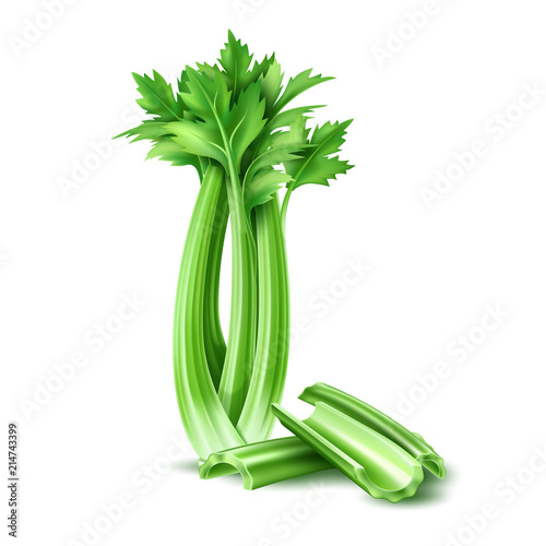 Vector realistic celery salad leaves