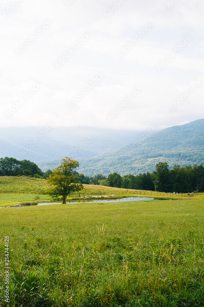 View of a pond and mountains in the rural Potomac Highlands of West Virginia.