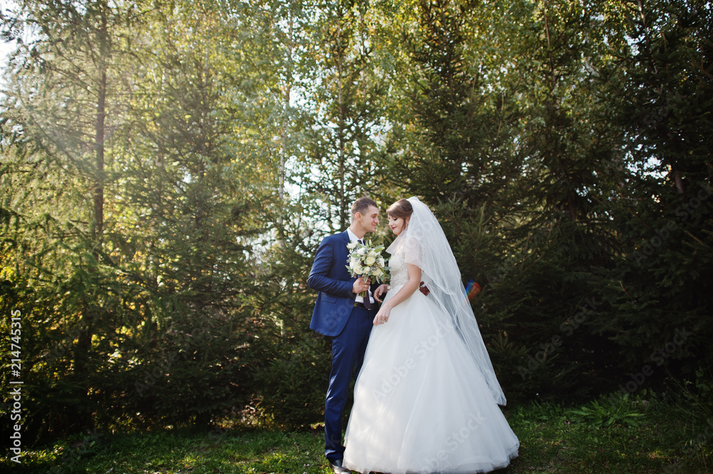 Young romantic wedding couple enjoying each other's company in the forest or park. Young romantic wedding couple enjoying each other's company in the forest or park.