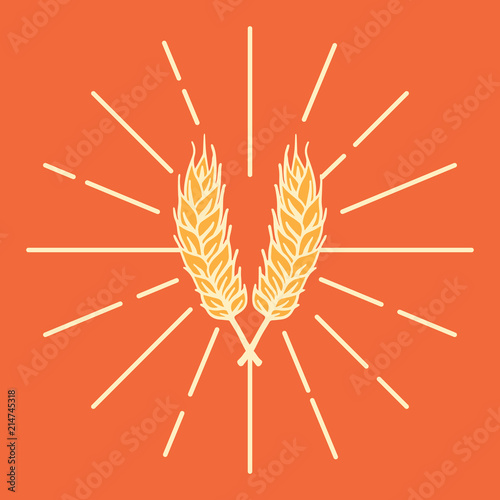 beer malt, beer ingredients, malt