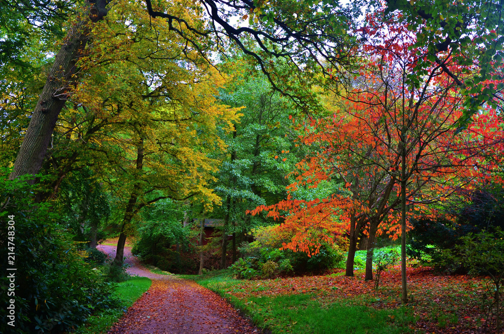 Nature Landscape in Beautiful Autumn Colors