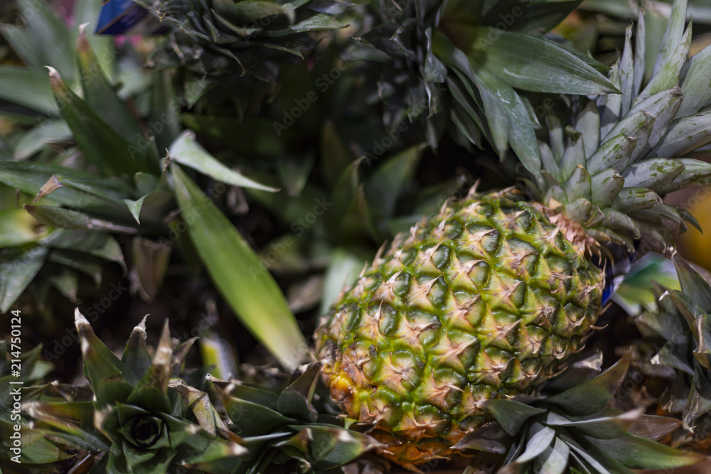 Fototapeta premium Pineapple background texture