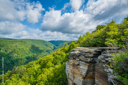 View of the Blackwater Canyon from Lindy Point, at Blackwater Falls State Park, West Virginia.