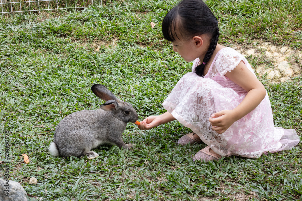 Asian Little Chinese Girl Feeding a Rabbit with Carrot Asian Little Chinese Girl Feeding a Rabbit with Carrot