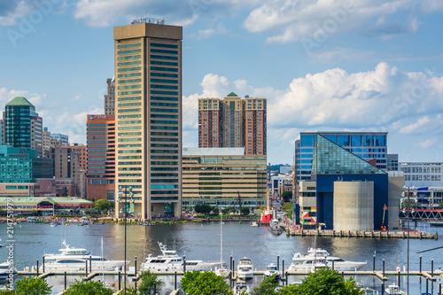 View of the Inner Harbor from Federal Hill Park in Baltimore  Maryland