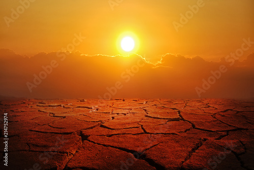 drought land and cracked earth landscape Poster Mural XXL