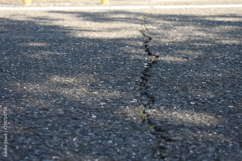 道路の割れ目