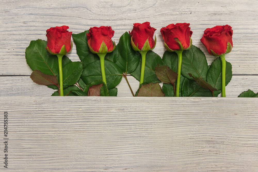 background. beautiful red roses on a white background. mothers Day. Valentine's Day. new Year. Christmas.