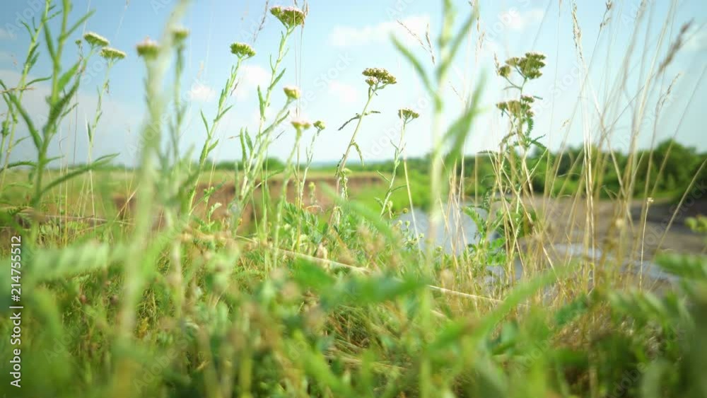 Clean river in nature. Movement of water in a small country river. Clean river in nature. Movement of water in a small country river.