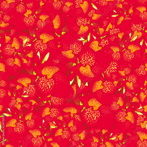 Red Canna lily Seamless Bac...
