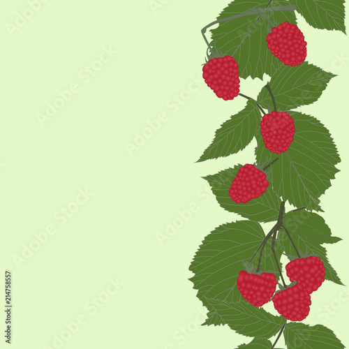 Vector Raspberries vertical seamless pattern