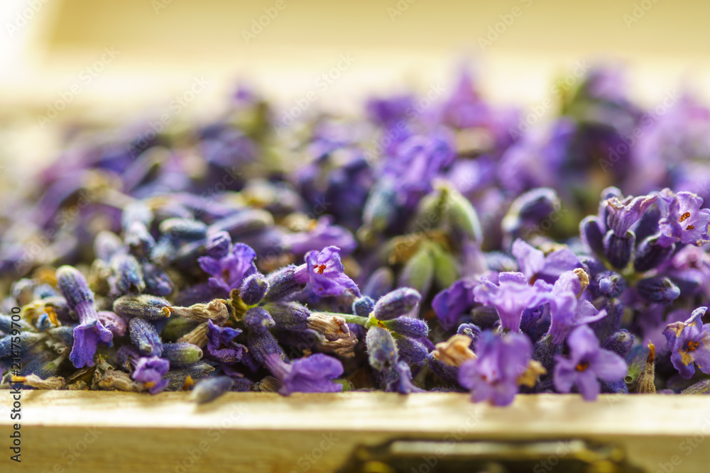 Fototapeta premium Lavender flower in a wooden box