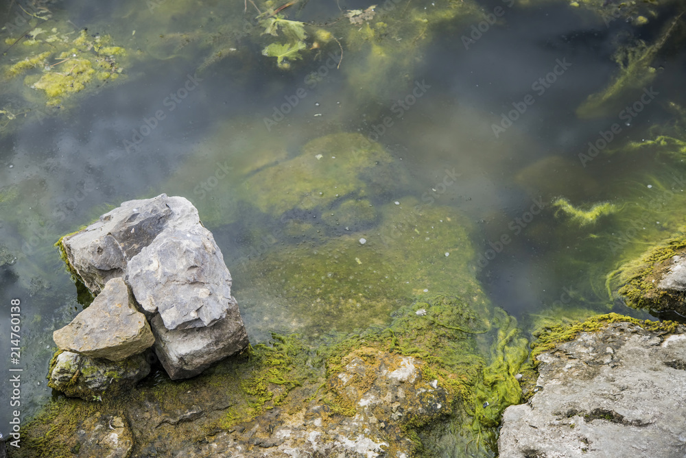 Fototapeta premium stones in a river overgrown with moss